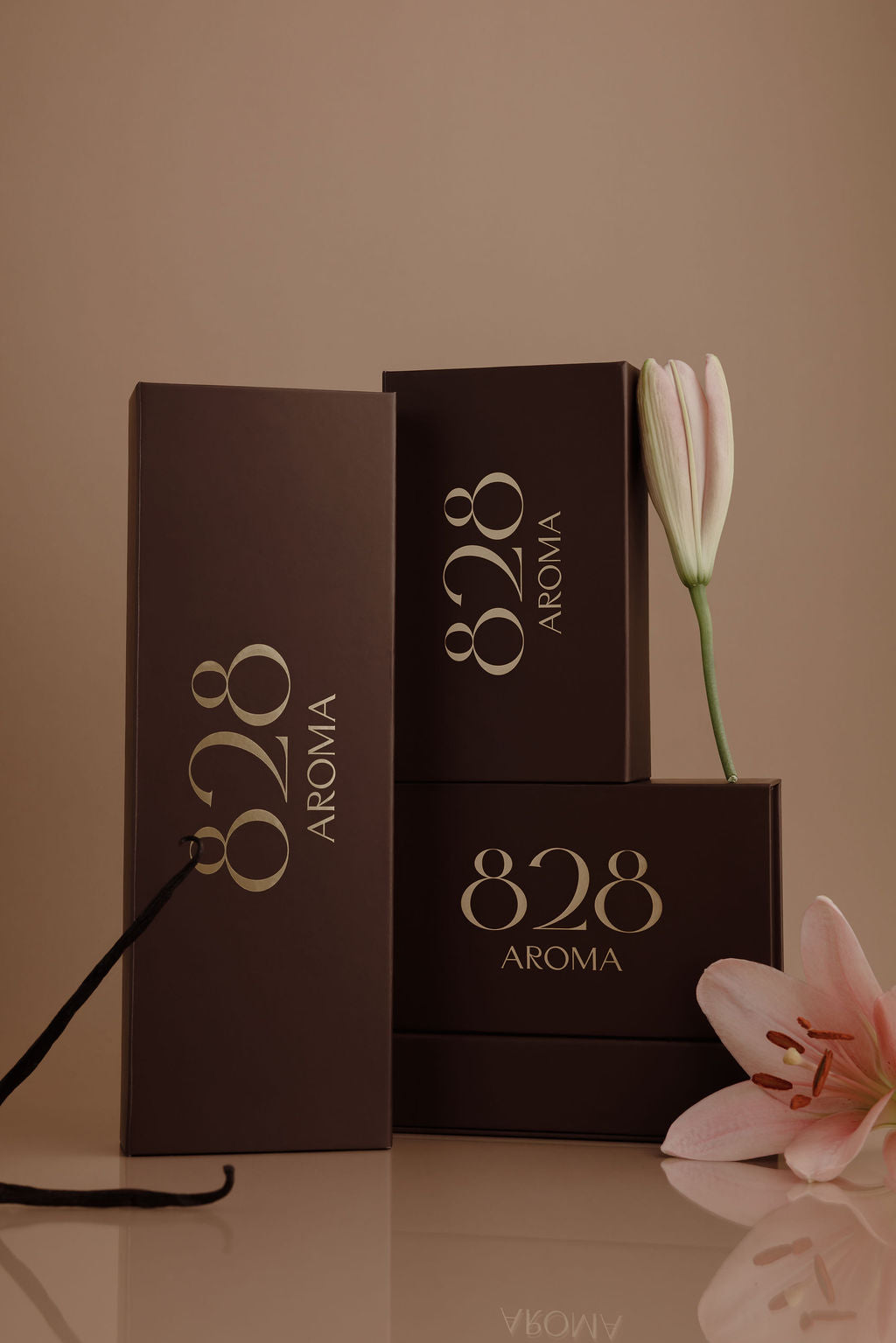 COLLECTION BOXES